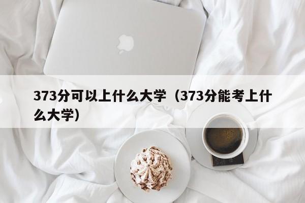 373分可以上什么大学(373分能考上什么大学)