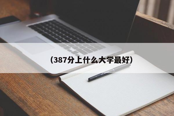 (387分上什么大学最好)