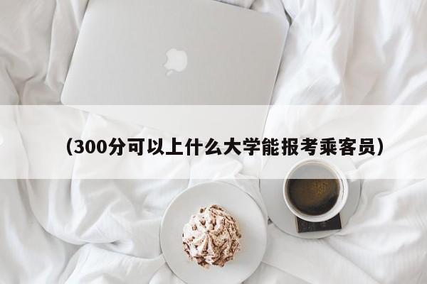 (300分可以上什么大学能报考乘客员)