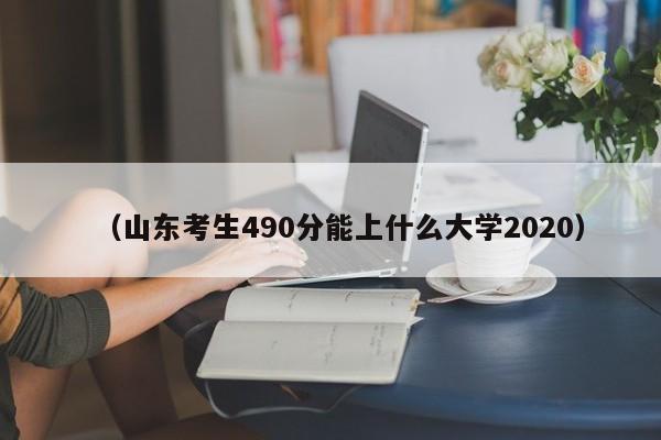 (山东考生490分能上什么大学2020)