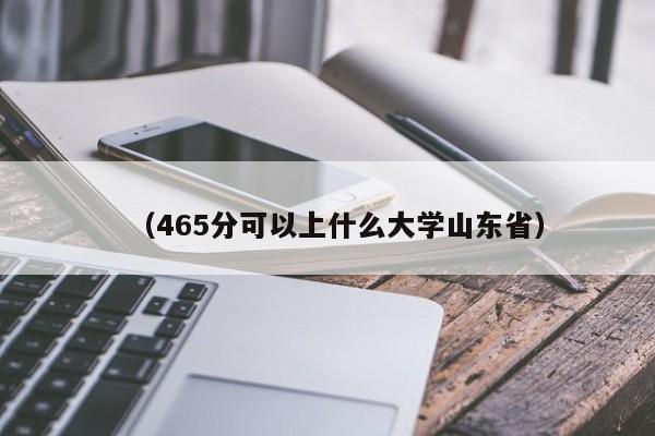 (465分可以上什么大学山东省)