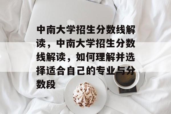 中南大学招生分数线解读，中南大学招生分数线解读，如何理解并选择适合自己的专业与分数段