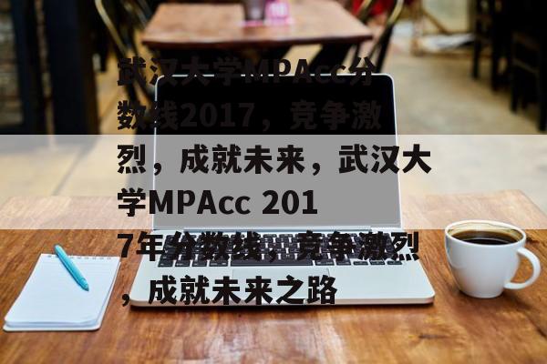 武汉大学MPAcc分数线2017，竞争激烈，成就未来，武汉大学MPAcc 2017年分数线，竞争激烈，成就未来之路