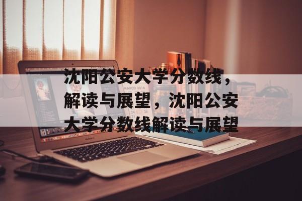沈阳公安大学分数线，解读与展望，沈阳公安大学分数线解读与展望