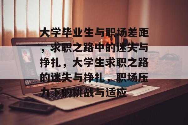 大学毕业生与职场差距，求职之路中的迷失与挣扎，大学生求职之路的迷失与挣扎，职场压力下的挑战与适应
