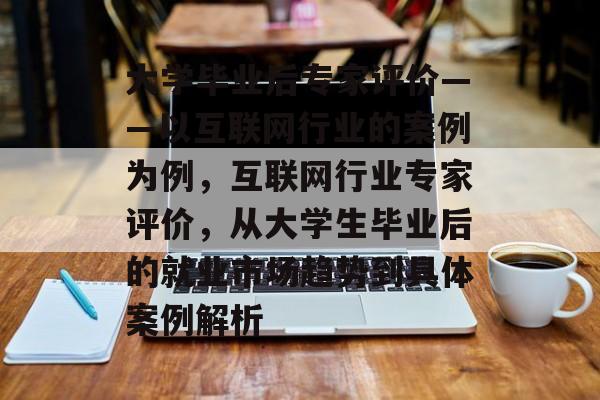 大学毕业后专家评价——以互联网行业的案例为例，互联网行业专家评价，从大学生毕业后的就业市场趋势到具体案例解析