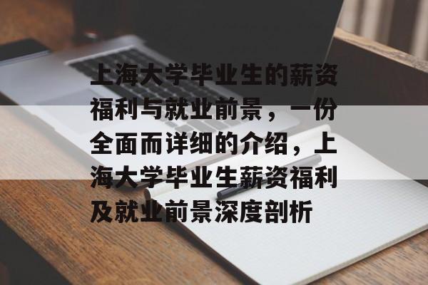 上海大学毕业生的薪资福利与就业前景，一份全面而详细的介绍，上海大学毕业生薪资福利及就业前景深度剖析