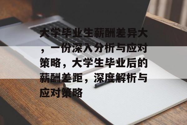大学毕业生薪酬差异大,一份深入分析与应对策略,大学生毕业后的薪酬差距,深度解析与应对策略 大学毕业生薪酬差异大,一份深入分析与应对策略,大学生毕业后的薪酬差距,深度解析与应对策略
