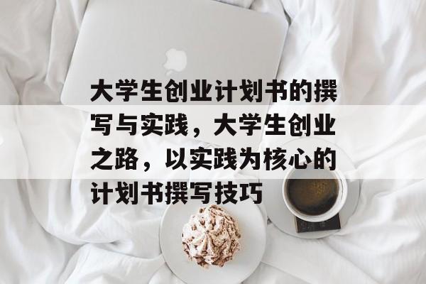 大学生创业计划书的撰写与实践,大学生创业之路,以实践为核心的计划书撰写技巧 大学生创业计划书的撰写与实践,大学生创业之路,以实践为核心的计划书撰写技巧