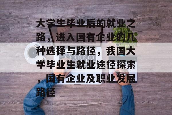 大学生毕业后的就业之路，进入国有企业的几种选择与路径，我国大学毕业生就业途径探索，国有企业及职业发展路径