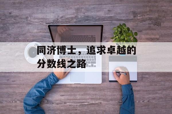 同济博士，追求卓越的分数线之路