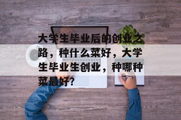 大学生毕业后的创业之路，种什么菜好，大学生毕业生创业，种哪种菜最好？