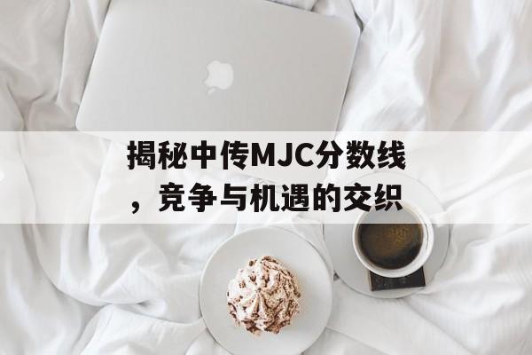 揭秘中传MJC分数线，竞争与机遇的交织