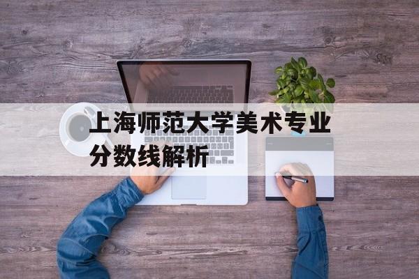 上海师范大学美术专业分数线解析