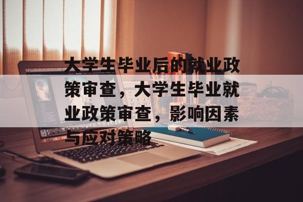 大学生毕业后的就业政策审查,大学生毕业就业政策审查,影响因素与应对策略 大学生毕业后的就业政策审查,大学生毕业就业政策审查,影响因素与应对策略