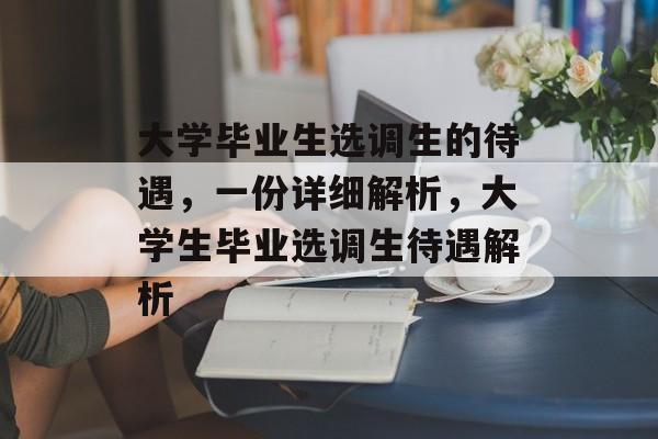 大学毕业生选调生的待遇,一份详细解析,大学生毕业选调生待遇解析 大学毕业生选调生的待遇,一份详细解析,大学生毕业选调生待遇解析