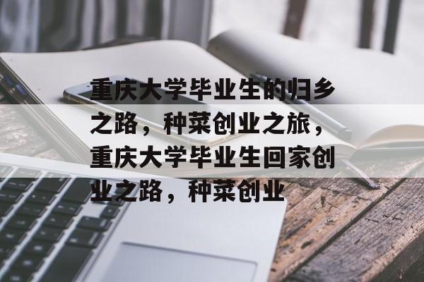 重庆大学毕业生的归乡之路,种菜创业之旅,重庆大学毕业生回家创业之路,种菜创业 重庆大学毕业生的归乡之路,种菜创业之旅,重庆大学毕业生回家创业之路,种菜创业