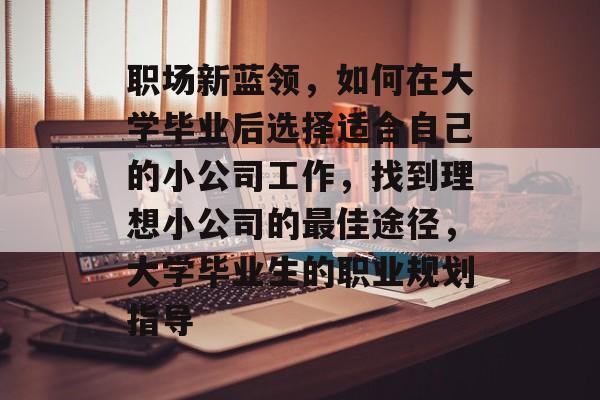 职场新蓝领，如何在大学毕业后选择适合自己的小公司工作，找到理想小公司的最佳途径，大学毕业生的职业规划指导