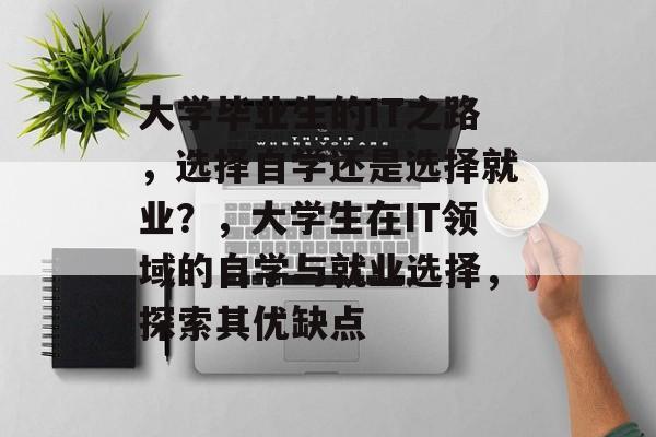 大学毕业生的IT之路，选择自学还是选择就业？，大学生在IT领域的自学与就业选择，探索其优缺点