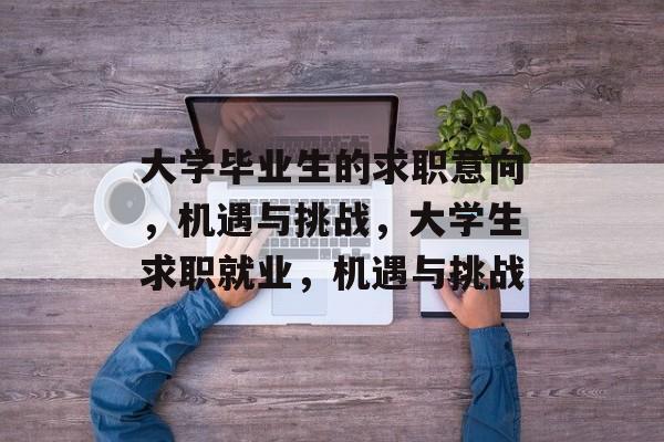 大学毕业生的求职意向,机遇与挑战,大学生求职就业,机遇与挑战 大学毕业生的求职意向,机遇与挑战,大学生求职就业,机遇与挑战