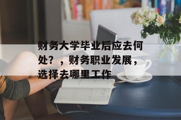 财务大学毕业后应去何处?,财务职业发展,选择去哪里工作 财务大学毕业后应去何处?,财务职业发展,选择去哪里工作