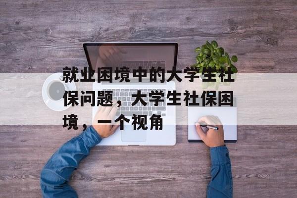 就业困境中的大学生社保问题，大学生社保困境，一个视角