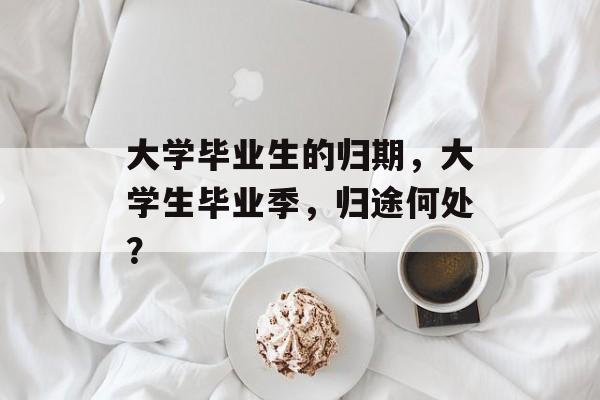 大学毕业生的归期，大学生毕业季，归途何处？