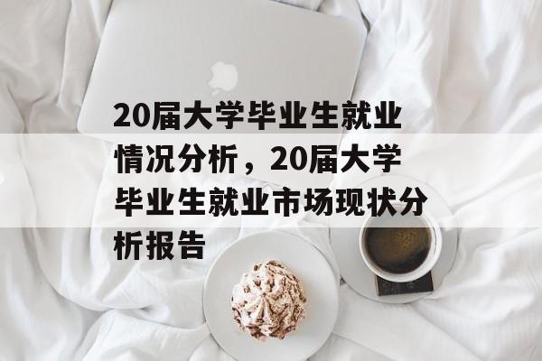 20届大学毕业生就业情况分析,20届大学毕业生就业市场现状分析报告 20届大学毕业生就业情况分析,20届大学毕业生就业市场现状分析报告