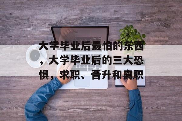 大学毕业后最怕的东西，大学毕业后的三大恐惧，求职、晋升和离职