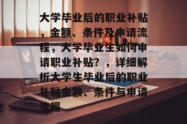 大学毕业后的职业补贴，金额、条件及申请流程，大学毕业生如何申请职业补贴？，详细解析大学生毕业后的职业补贴金额、条件与申请流程