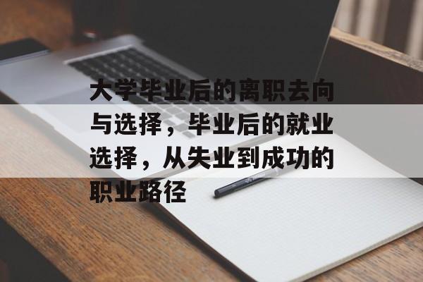 大学毕业后的离职去向与选择,毕业后的就业选择,从失业到成功的职业路径 大学毕业后的离职去向与选择,毕业后的就业选择,从失业到成功的职业路径