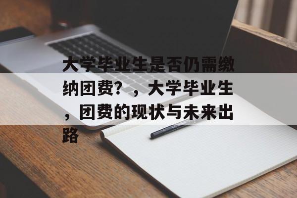 大学毕业生是否仍需缴纳团费？，大学毕业生，团费的现状与未来出路