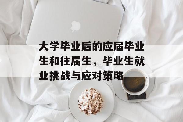 大学毕业后的应届毕业生和往届生，毕业生就业挑战与应对策略