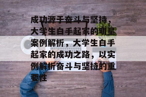 成功源于奋斗与坚持，大学生白手起家的明星案例解析，大学生白手起家的成功之路，以实例解析奋斗与坚持的重要性