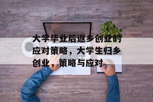 大学毕业后返乡创业的应对策略，大学生归乡创业，策略与应对