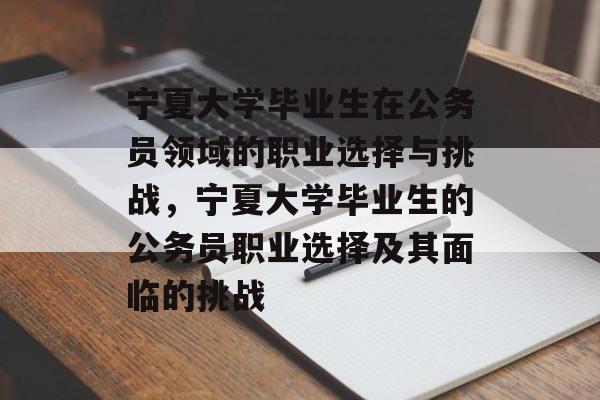宁夏大学毕业生在公务员领域的职业选择与挑战，宁夏大学毕业生的公务员职业选择及其面临的挑战