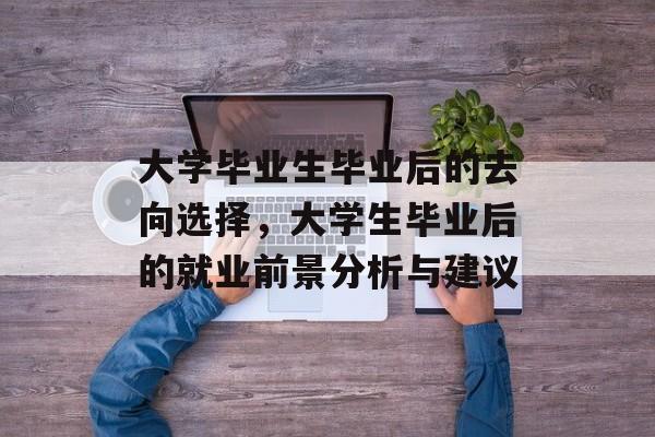 大学毕业生毕业后的去向选择，大学生毕业后的就业前景分析与建议