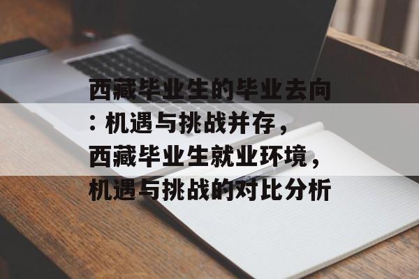 西藏毕业生的毕业去向: 机遇与挑战并存，西藏毕业生就业环境，机遇与挑战的对比分析