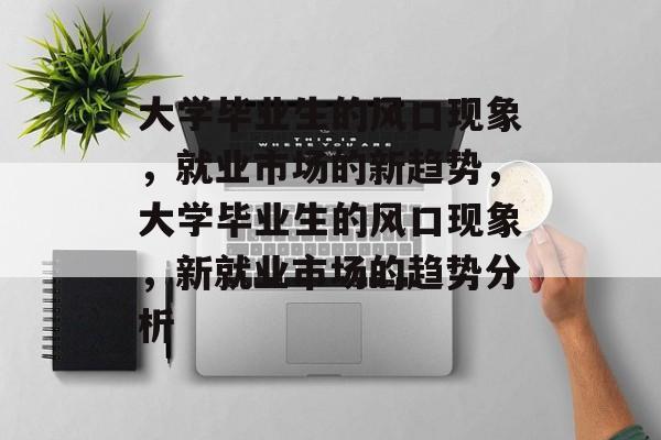 大学毕业生的风口现象，就业市场的新趋势，大学毕业生的风口现象，新就业市场的趋势分析