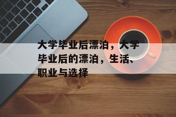 大学毕业后漂泊，大学毕业后的漂泊，生活、职业与选择