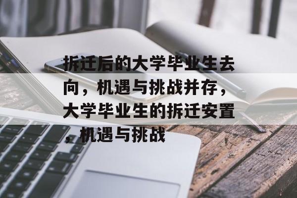 拆迁后的大学毕业生去向，机遇与挑战并存，大学毕业生的拆迁安置，机遇与挑战