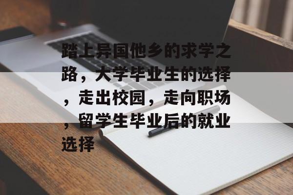 踏上异国他乡的求学之路，大学毕业生的选择，走出校园，走向职场，留学生毕业后的就业选择