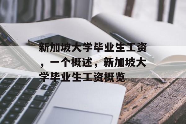 新加坡大学毕业生工资,一个概述,新加坡大学毕业生工资概览 新加坡大学毕业生工资,一个概述,新加坡大学毕业生工资概览