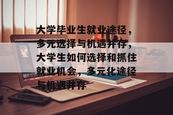大学毕业生就业途径，多元选择与机遇并存，大学生如何选择和抓住就业机会，多元化途径与机遇并存