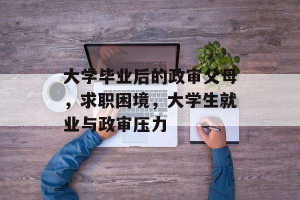 大学毕业后的政审父母，求职困境，大学生就业与政审压力