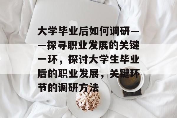大学毕业后如何调研——探寻职业发展的关键一环,探讨大学生毕业后的职业发展,关键环节的调研方法 大学毕业后如何调研——探寻职业发展的关键一环,探讨大学生毕业后的职业发展,关键环节的调研方法