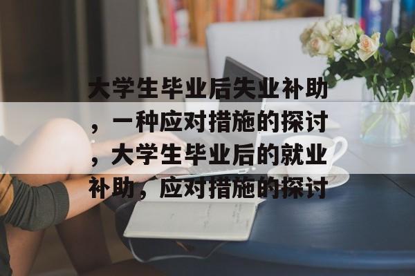 大学生毕业后失业补助，一种应对措施的探讨，大学生毕业后的就业补助，应对措施的探讨