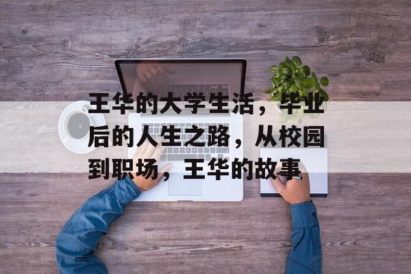 王华的大学生活，毕业后的人生之路，从校园到职场，王华的故事