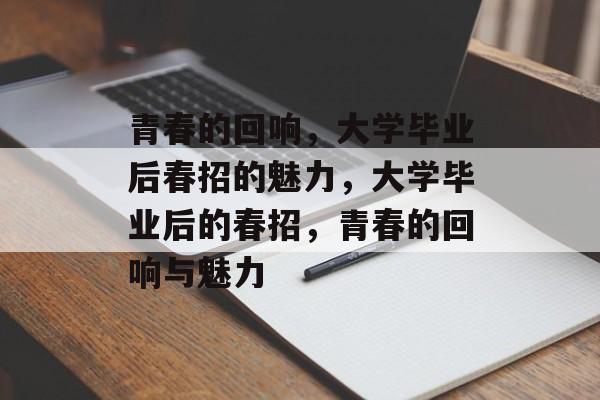 青春的回响，大学毕业后春招的魅力，大学毕业后的春招，青春的回响与魅力
