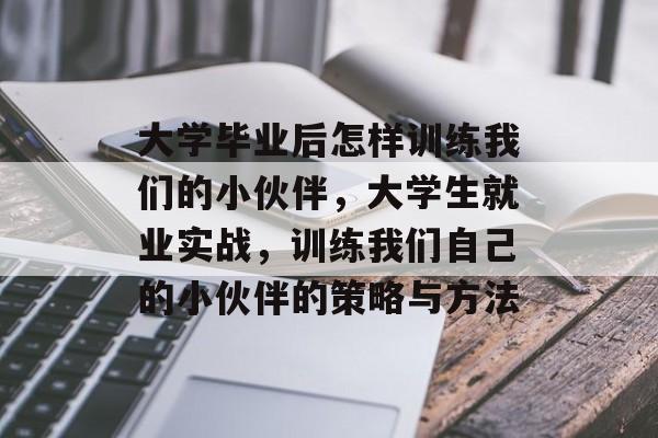 大学毕业后怎样训练我们的小伙伴,大学生就业实战,训练我们自己的小伙伴的策略与方法 大学毕业后怎样训练我们的小伙伴,大学生就业实战,训练我们自己的小伙伴的策略与方法